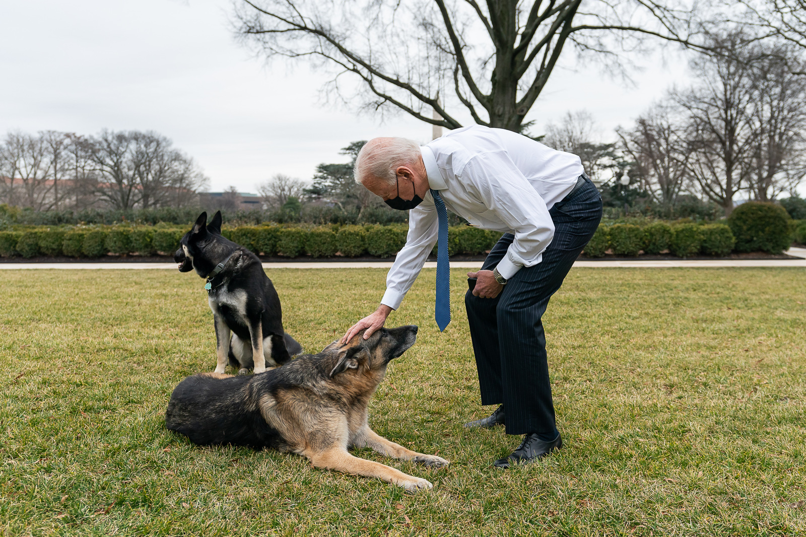 Photo of Joe Biden - 5